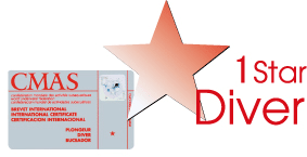 CMAS 1�X�^�[�_�C�o�[�J�[�h